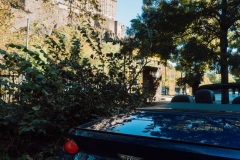 P1130528