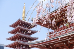 yu-kato-NStkTOhv2I-unsplash
