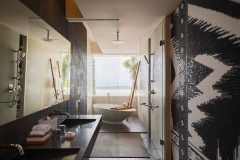 dpsuw-bathroom-0029-hor-clsc