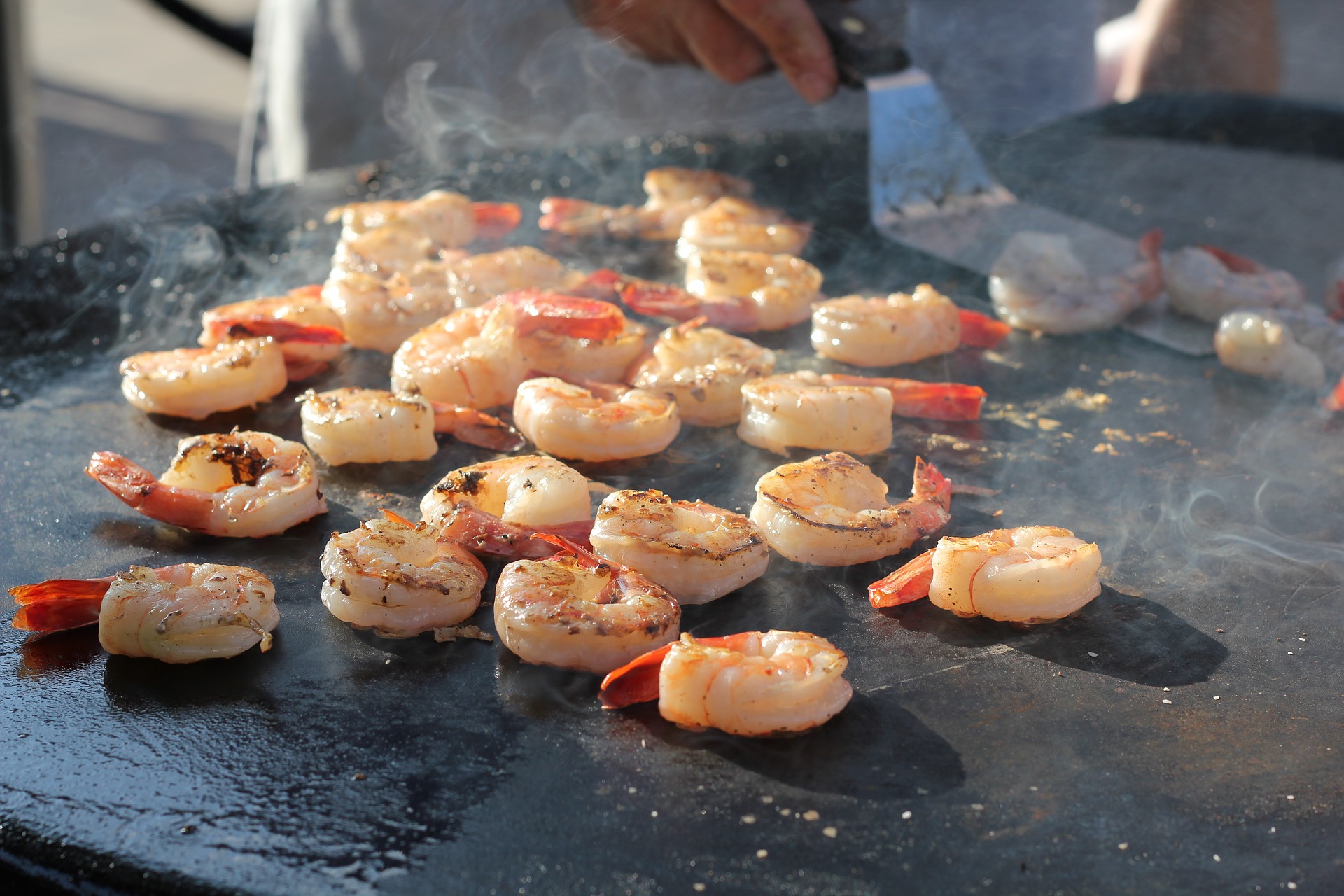 shrimp-2652677_1920