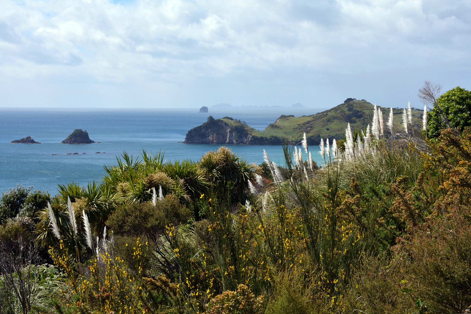 coromandel-peninsula-1325357_1920.jpg