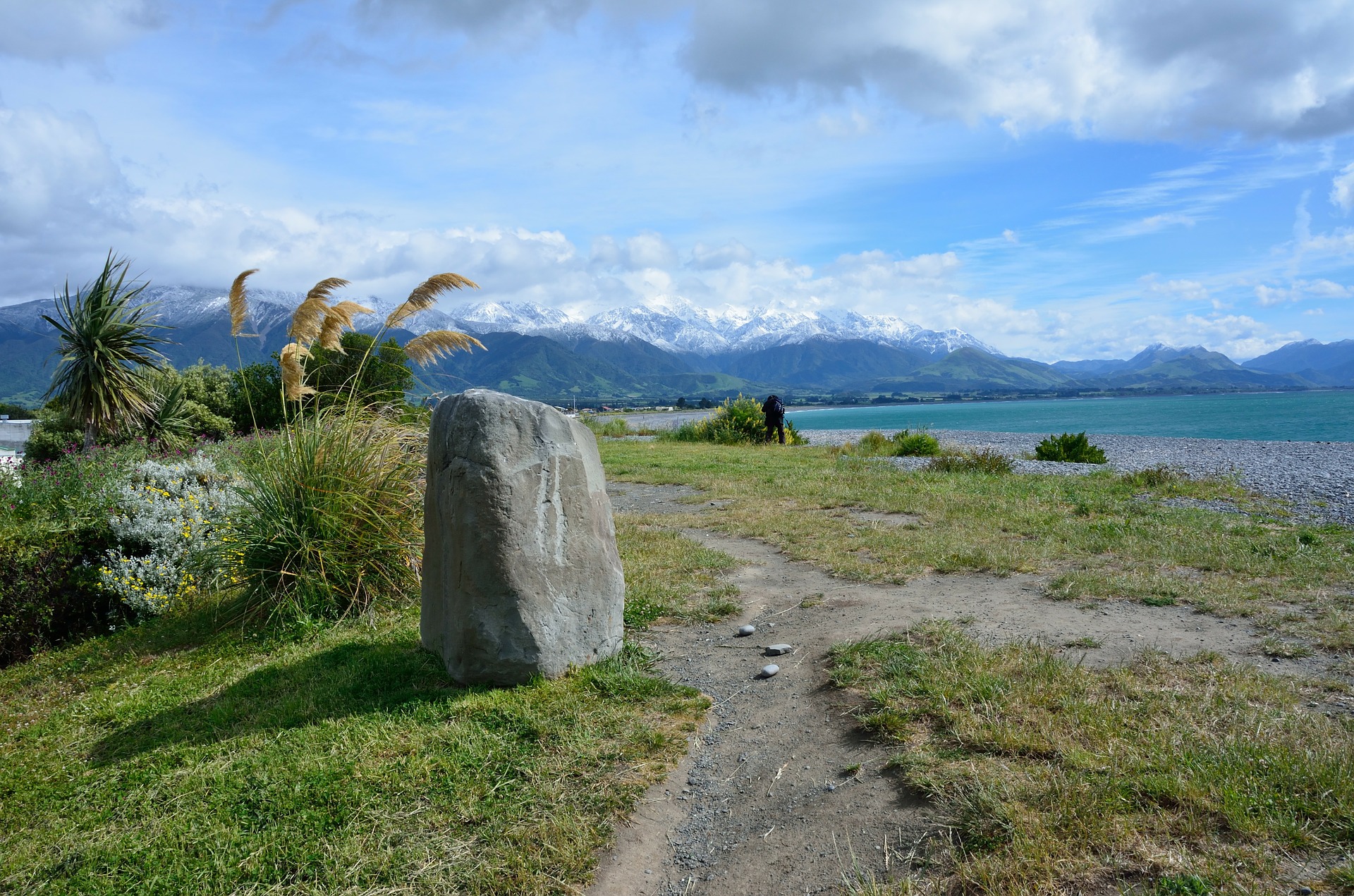 kaikoura-89881_1920.jpg